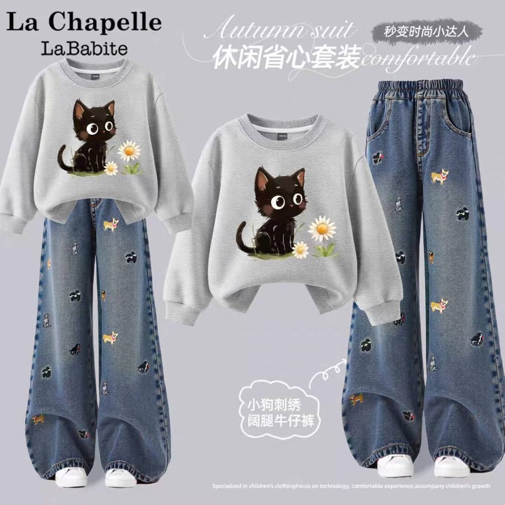 Ensemble Pull Gris Pantalon Jeans — visuel 1
