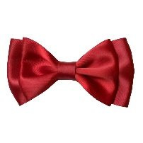 Accessoires Enfnt Nœud Papillon Rouge — visuel 1