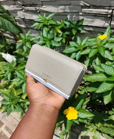 Porte Monnaie Beige — visuel 1