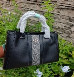 Sac A Main Gucci Black — visuel 1