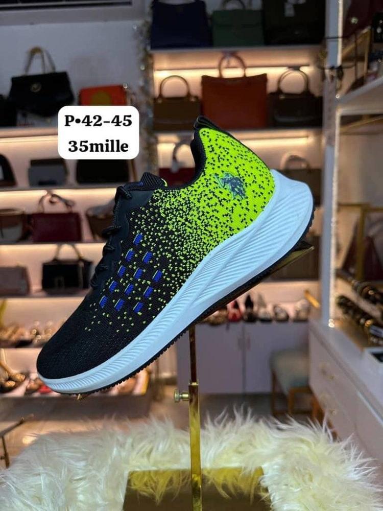 Sneakers Noir Vert Point